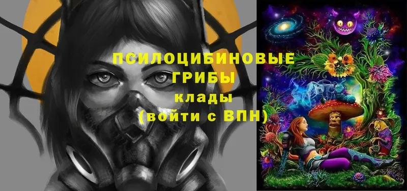 Псилоцибиновые грибы Magic Shrooms  Гремячинск 